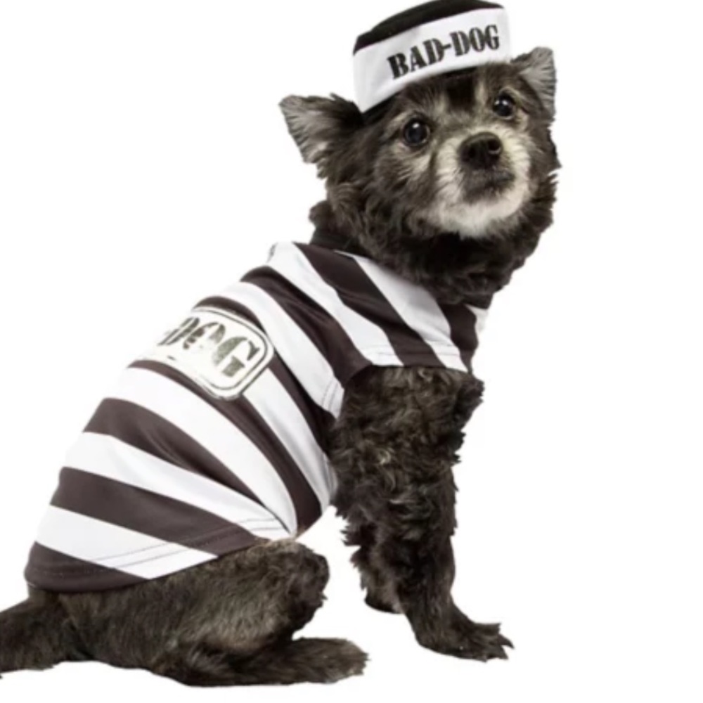 SALE  3️⃣for 1️⃣ Halloween dog costume prison dog Halloween costume like new